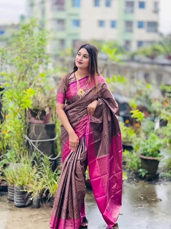 kanchi borom katan saree